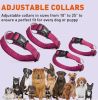 Dogline - Reinforced Microfiber Dog Collar – Machine Washable & Beach Friendly
