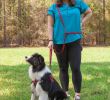 Dogline - 8ft Multi-Purpose Hands-Free Leash – Non-Slip Rubberized Nylon