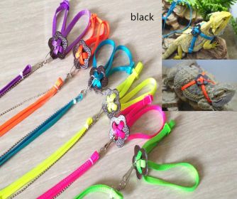 Lizard Adventure Harness And Leash Set (Color: black)