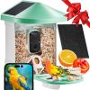 a Smart Bird Feeder with Camera AI Identify 10000+ Bird Specie Solar-Powered