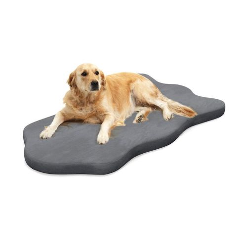 Pet Supplies Dog Bed with Memory Foam Support Pet Supplies Dog Bed with Memory Foam Support