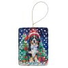 Bernese Mountain Dog Christmas Porcelain Ornament Christmas Tree Hanging Decorations for Home Christmas Holiday, Rectangle, Gift, Multicolor