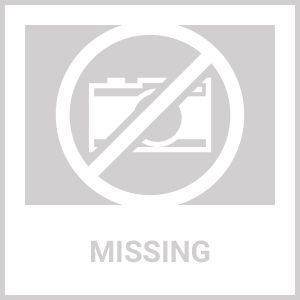 Pet Life 'Concepto' Modern Bristle Grooming Pet Deshedder Comb