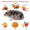 Rat Trap Cage Humane Live Rodent Trap Cage Galvanized Iron Mice Mouse Control Bait Catch with Detachable U Shaped Rod