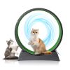 Cat Exercise Wheel, 31 inch Cat Wheels for Indoor Cats, Cat Treadmill Wheel Exerciser with Carpeted Runway