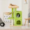 Cute Cat House for Indoor Cats Activity