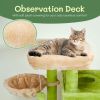 Cute Cat House for Indoor Cats Activity