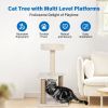 Cat Furniture 2-Tier Cute Small Cat Tree for Indoor