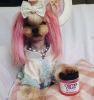 Warren London - Critter Color Temporary Pet Fur Coloring / Dog Dye | 4 oz | Made in the USA