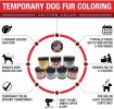Warren London - Critter Color Temporary Pet Fur Coloring / Dog Dye | 4 oz | Made in the USA