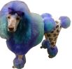 Warren London - Critter Color Temporary Pet Fur Coloring / Dog Dye | 4 oz | Made in the USA