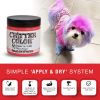 Warren London - Critter Color Temporary Pet Fur Coloring / Dog Dye | 4 oz | Made in the USA