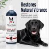 Warren London - Magic Black Brightening Dog Shampoo | Color-Enhancing Formula | Made in the USA