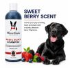 Warren London - Magic Black Brightening Dog Shampoo | Color-Enhancing Formula | Made in the USA