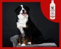 Warren London - Magic White Brightening Dog Shampoo - Cherry Scented | Made in the USA | 17oz