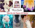 Warren London - Pawdicure Polish Pen Quick-Dry Dog Nail Polish | Made in the USA