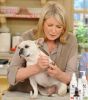 Warren London - Pawdicure Polish Pen Quick-Dry Dog Nail Polish | Made in the USA