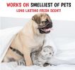 Warren London - Wet Kiss Dog Cologne | Made in the USA